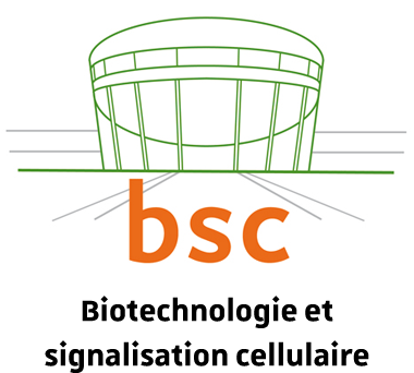 Biotechnologie et signalisation cellulaire | BSC | UMR 7242
